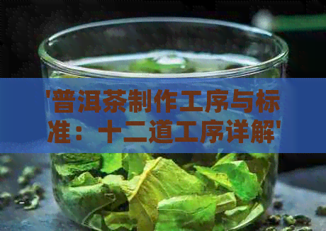 '普洱茶制作工序与标准：十二道工序详解'