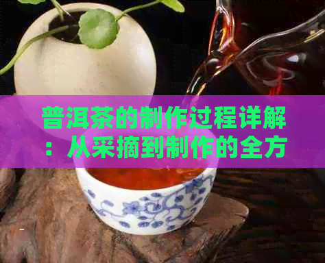 普洱茶的制作过程详解：从采摘到制作的全方位解析