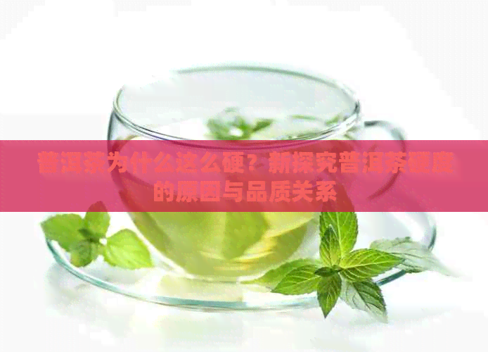 普洱茶为什么这么硬？新探究普洱茶硬度的原因与品质关系