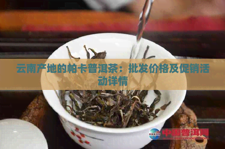 云南产地的帕卡普洱茶：批发价格及促销活动详情