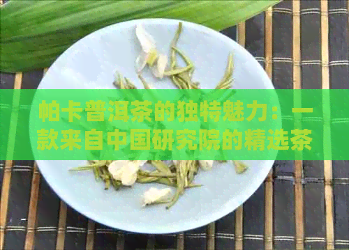 帕卡普洱茶的独特魅力：一款来自中国研究院的精选茶叶