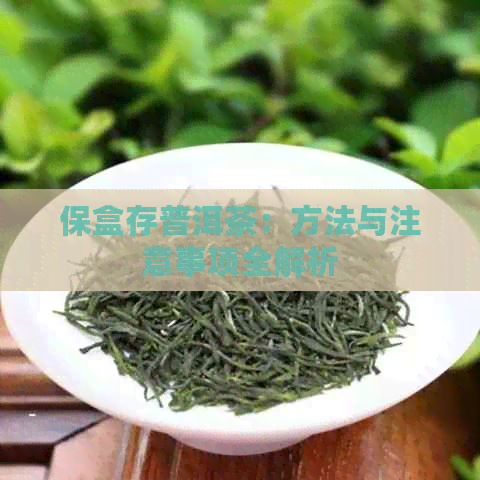 保盒存普洱茶：方法与注意事项全解析