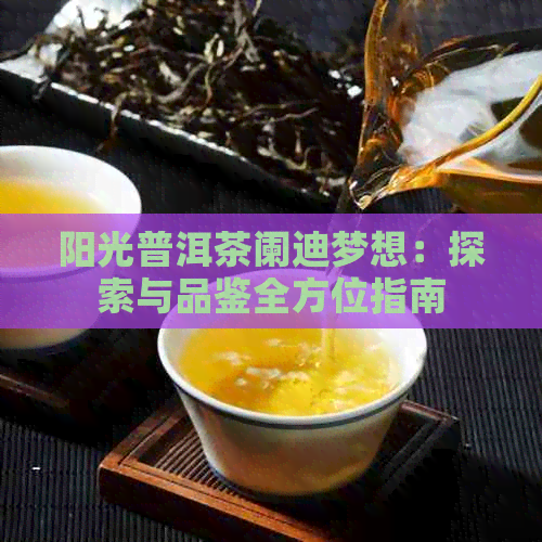 阳光普洱茶阑迪梦想：探索与品鉴全方位指南