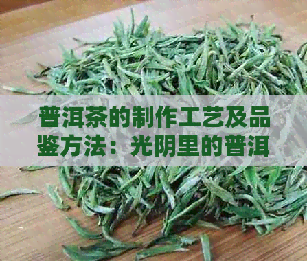 普洱茶的制作工艺及品鉴方法：光阴里的普洱茶文化全解析