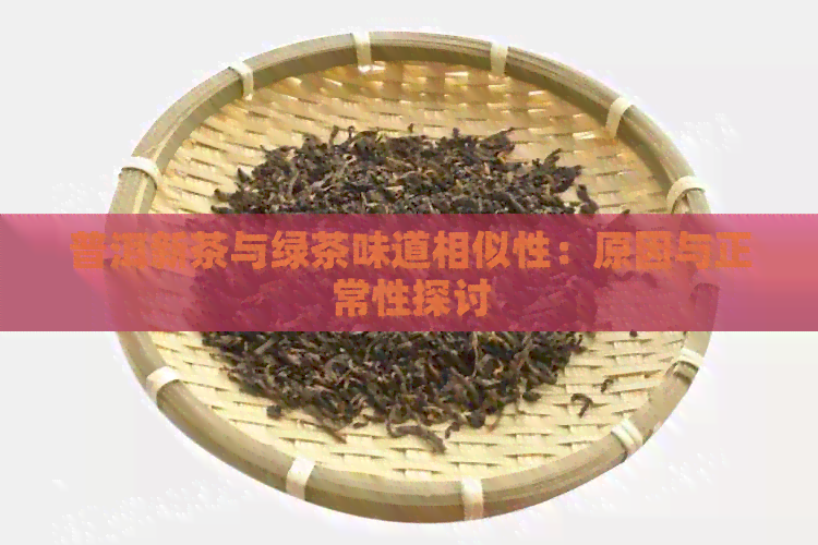 普洱新茶与绿茶味道相似性：原因与正常性探讨