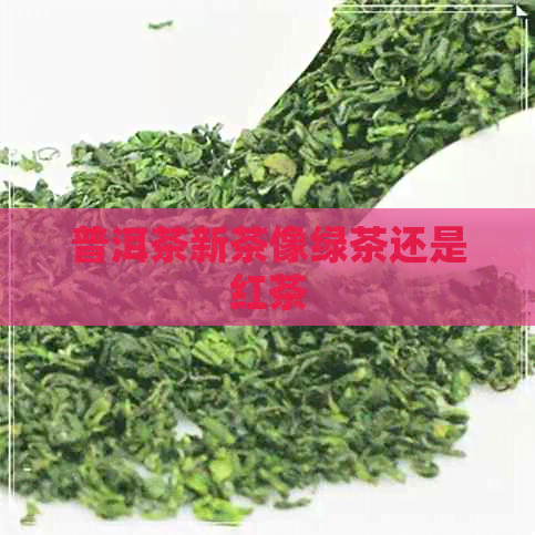 普洱茶新茶像绿茶还是红茶