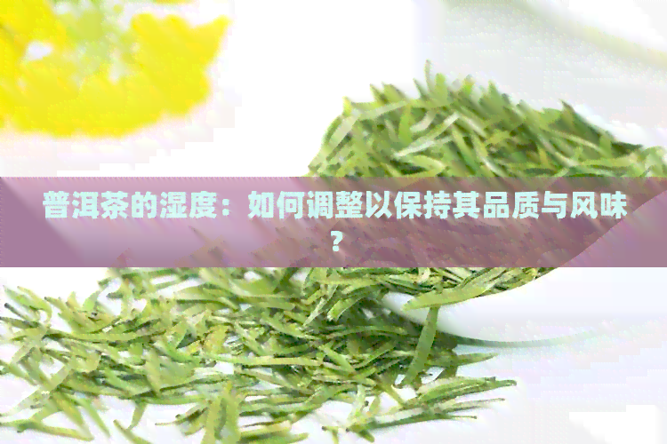 普洱茶的湿度：如何调整以保持其品质与风味？