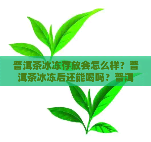 普洱茶冰冻存放会怎么样？普洱茶冰冻后还能喝吗？普洱茶水冰冻能放多久？