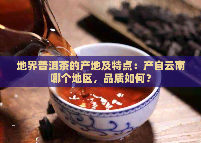 地界普洱茶的产地及特点：产自云南哪个地区，品质如何？