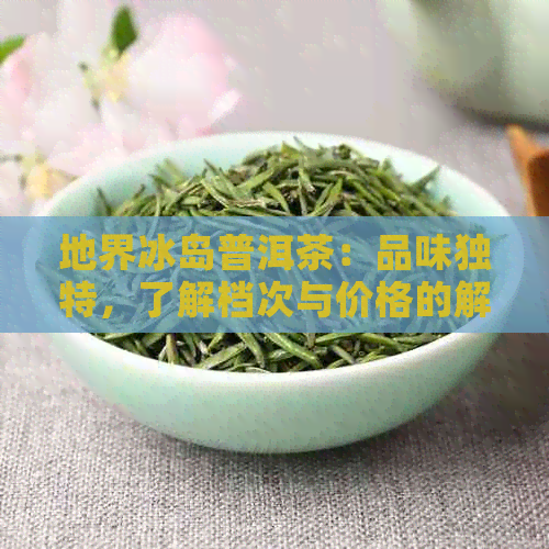 地界冰岛普洱茶：品味独特，了解档次与价格的解析