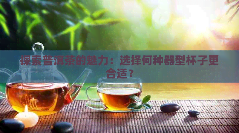 探索普洱茶的魅力：选择何种器型杯子更合适？