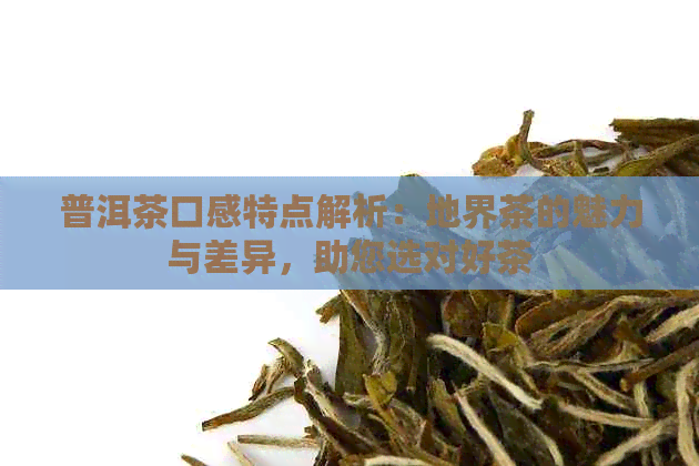 普洱茶口感特点解析：地界茶的魅力与差异，助您选对好茶