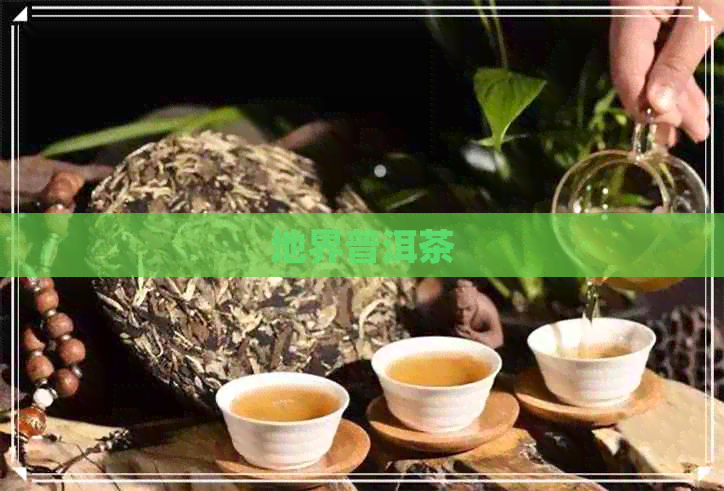 地界普洱茶