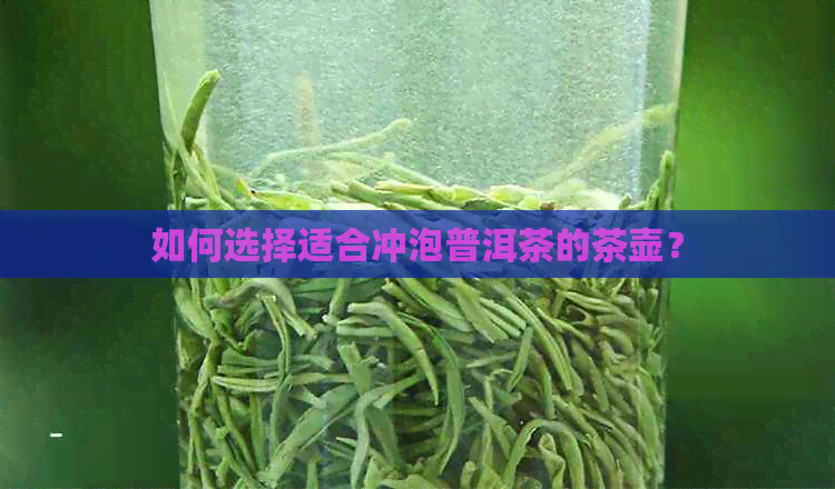 如何选择适合冲泡普洱茶的茶壶？