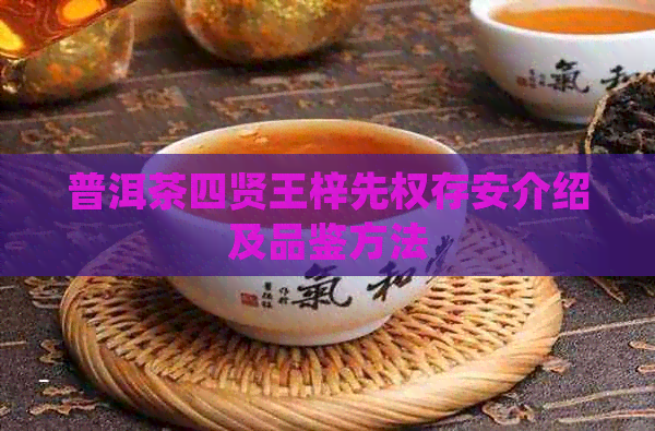 普洱茶四贤王梓先权存安介绍及品鉴方法