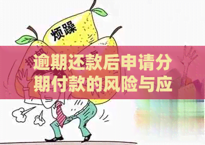 逾期还款后申请分期付款的风险与应对策略