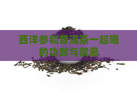 西洋参和普洱茶一起喝的功效与禁忌