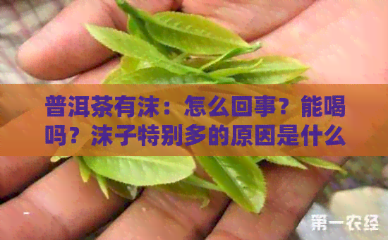 普洱茶有沫：怎么回事？能喝吗？沫子特别多的原因是什么？