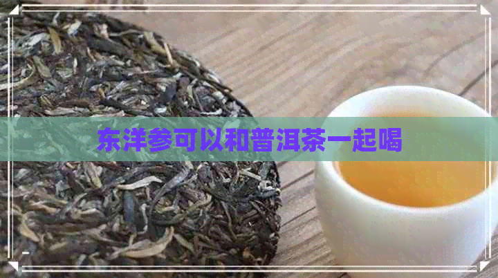 东洋参可以和普洱茶一起喝