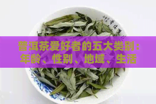 普洱茶爱好者的五大类别：年龄、性别、地域、生活方式与品茗惯