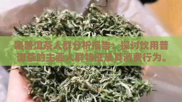 喝普洱茶人群分析报告：探讨饮用普洱茶的主要人群特征及其消费行为。