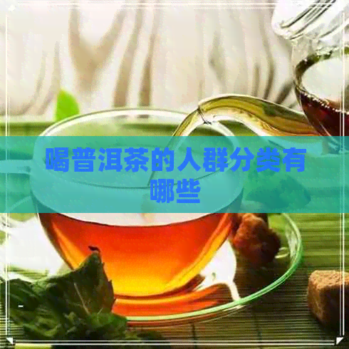 喝普洱茶的人群分类有哪些