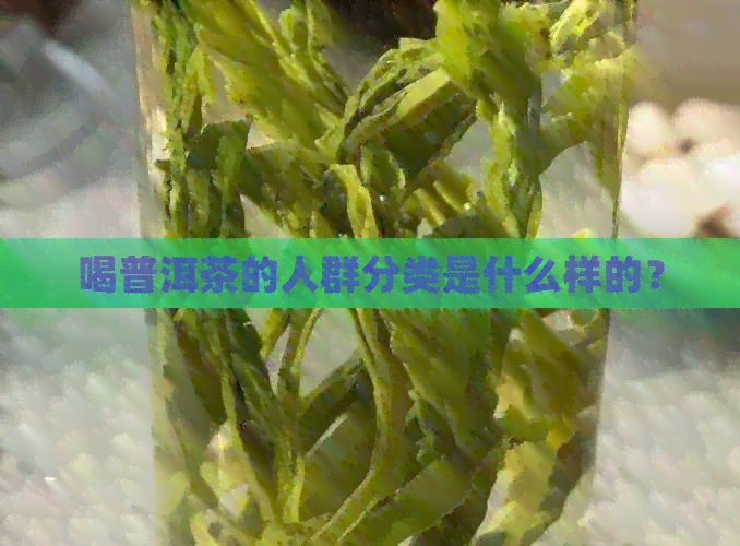 喝普洱茶的人群分类是什么样的？