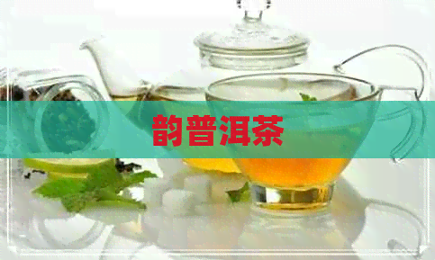 韵普洱茶