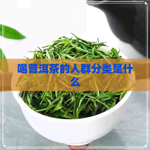 喝普洱茶的人群分类是什么