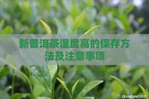 新普洱茶湿度高的保存方法及注意事项