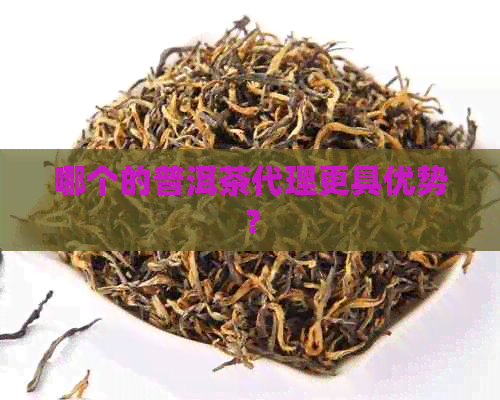 哪个的普洱茶代理更具优势？