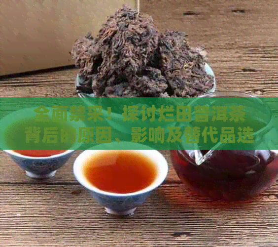 全面禁采！探讨烂田普洱茶背后的原因、影响及替代品选择