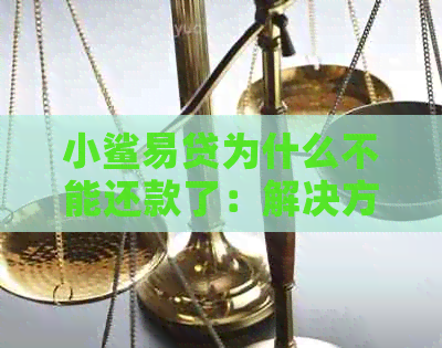 小鲨易贷为什么不能还款了：解决方法与原因分析