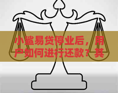 小鲨易贷停业后，用户如何进行还款？其他替代贷款渠道推荐及相关注意事项