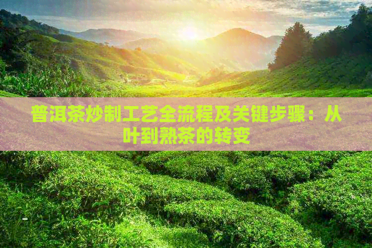 普洱茶炒制工艺全流程及关键步骤：从叶到熟茶的转变