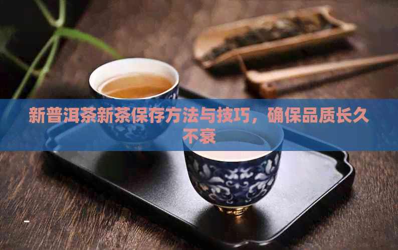 新普洱茶新茶保存方法与技巧，确保品质长久不衰