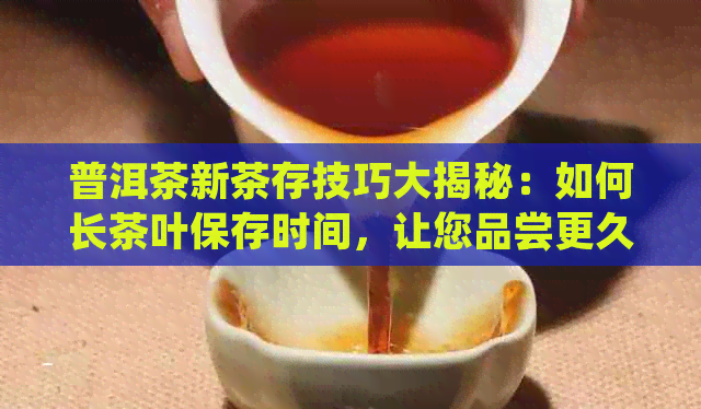 普洱茶新茶存技巧大揭秘：如何长茶叶保存时间，让您品尝更久远的美味！