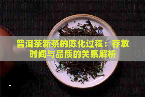 普洱茶新茶的陈化过程：存放时间与品质的关系解析