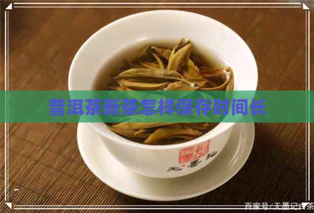 普洱茶新茶怎样保存时间长