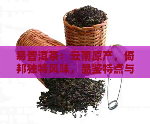 易普洱茶：云南原产，倚邦独特风味，品鉴特点与易武的融合之美