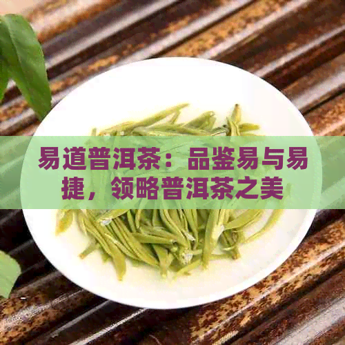 易道普洱茶：品鉴易与易捷，领略普洱茶之美