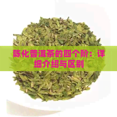 陈化普洱茶的四个阶：详细介绍与区别