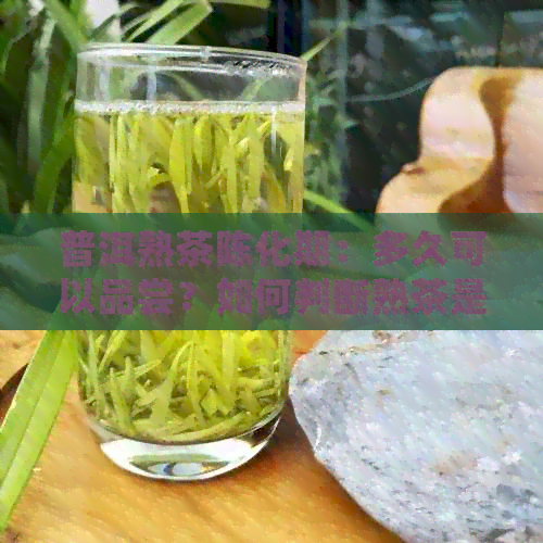 普洱熟茶陈化期：多久可以品尝？如何判断熟茶是否达到饮用时机？