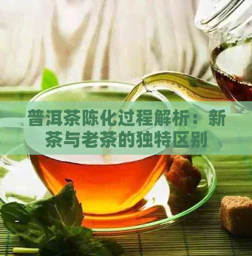 普洱茶陈化过程解析：新茶与老茶的独特区别