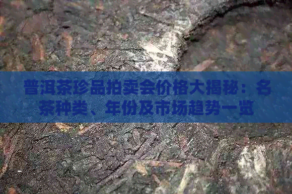 普洱茶珍品拍卖会价格大揭秘：名茶种类、年份及市场趋势一览