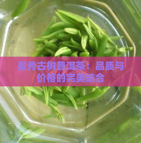 曼秀古树普洱茶：品质与价格的完美结合