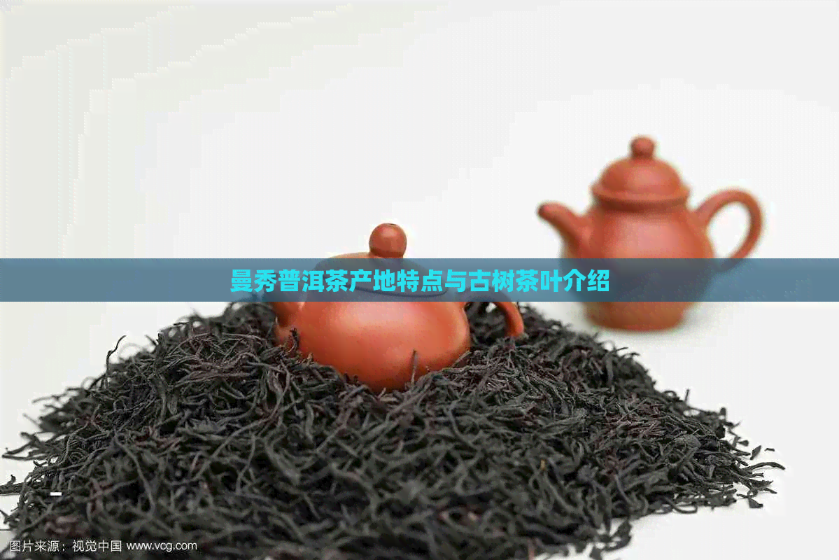 曼秀普洱茶产地特点与古树茶叶介绍