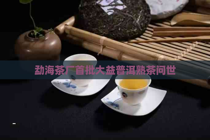 勐海茶厂首批大益普洱熟茶问世