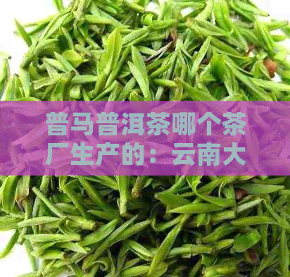 普马普洱茶哪个茶厂生产的：云南大益茶厂精选原料，匠心制作，品质上乘。