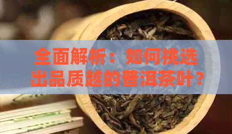 全面解析：如何挑选出品质越的普洱茶叶？哪里的普洱茶最值得推荐？